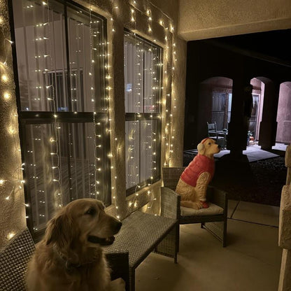 LED Curtain Light, 1 Set USB Powered 8 Modes Curtain String Light, LED String Light with Remote Timer, for Wall Background Home Decor, Girls Bedroom Furniture, Dancing LED, Prince Room, Lighting